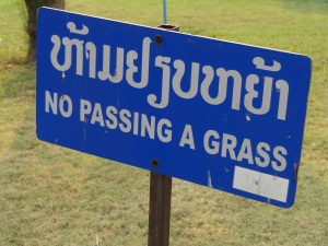 no_passing_a_grass_sign